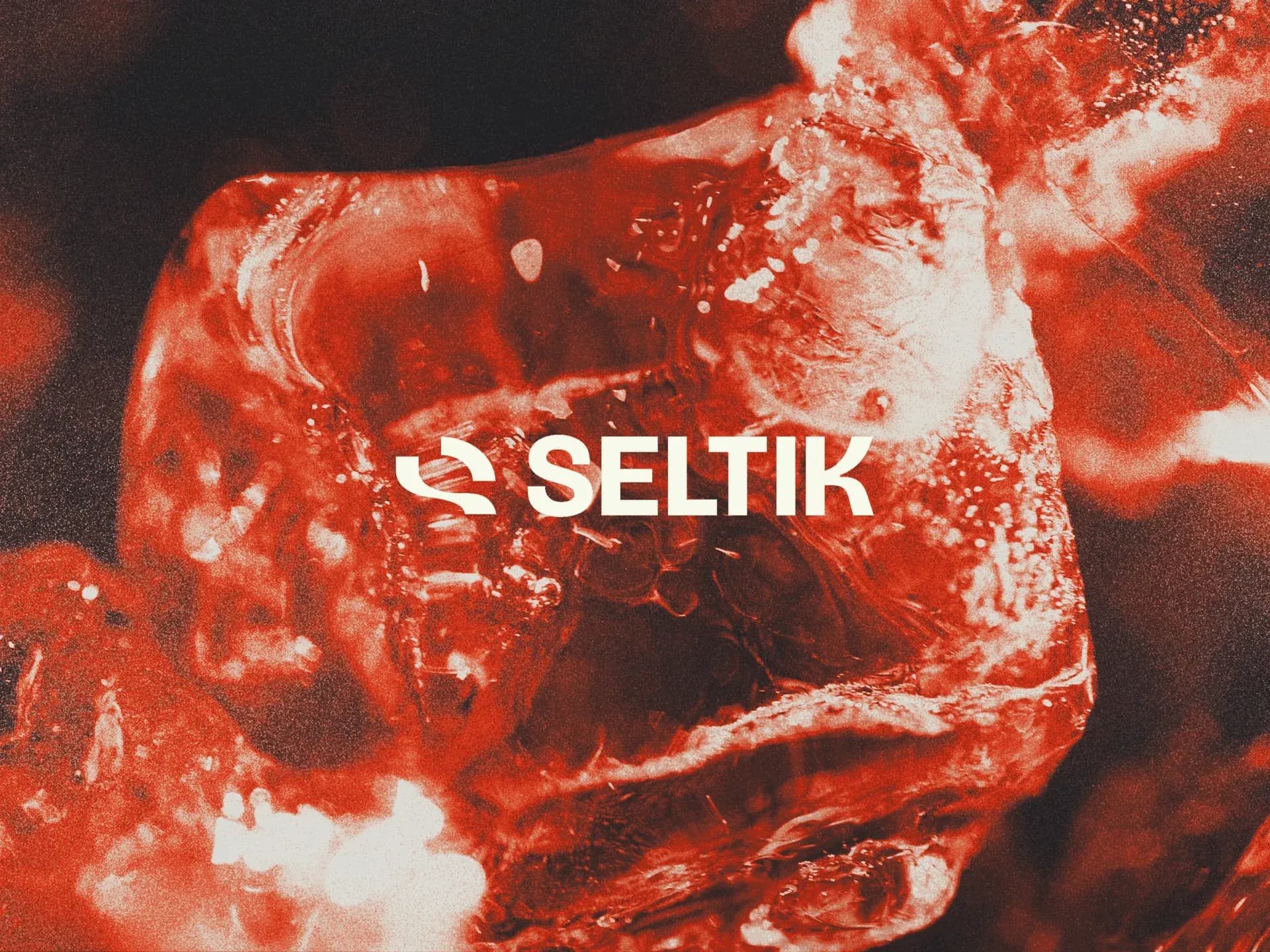 SELTIK campaign banner on red ice macro photography